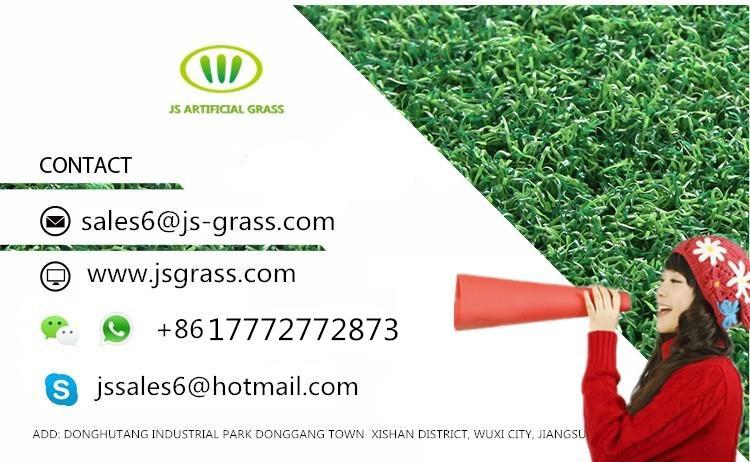 Iarbă artificială în magazin Artificial Grass In Store