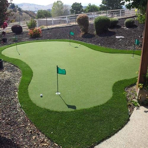 Outdoor Artificial Putting Green Grass